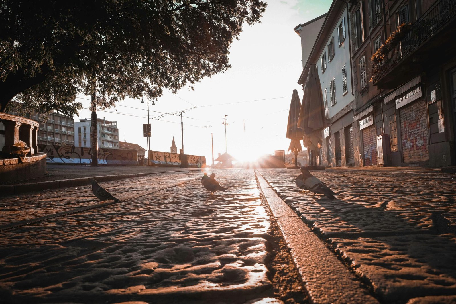 5 Astuces Simples pour Une Journée Zen 5 Astuces Simples pour Une Journée Zen